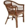 Outdoor Chair Natural Rattan Brown VidaXL -Outdoor Furniture Store 10814145 1