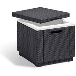 Cooler Box Ice Cube Graphite Keter