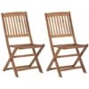 Folding Outdoor Chairs 2 Pcs Solid Acacia Wood VidaXL 1 Folding Outdoor Chairs 2 Pcs Solid Acacia Wood VidaXL -Outdoor Furniture Store 33814521 1