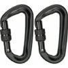2 Pieces Carabiner Clip Heavy Duty 12KN (1200KG) Climbing Carabiner D-Ring Carabiner Clips Twist Locking Carabiner Clips For Gym Hammocks Yoga Swing Camping Keychain Locking Dogs