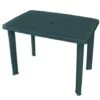 Garden Table Green 101x68x72 Cm Plastic VidaXL -Outdoor Furniture Store 6854691 1