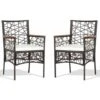 2pcs Rattan Dining Chairs Patio PE Wicker Garden Chairs Removable Cushions