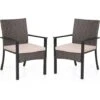 PHIVILLA Garden Dining Chairs 2,Outdoor Rattan Wicker Chairs With Removable Cushion For Patio, Garden, Porch, Balcony