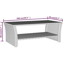 Coffee Table Grey 100x50x40 Cm Poly Rattan VidaXL -Outdoor Furniture Store 97900681 3